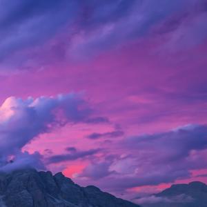 Tamzara (Instrumental)