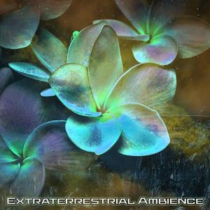 A Galaxy Far, Far Away