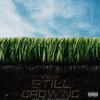 Steezo - Still Growing