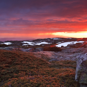 我要等的正是你