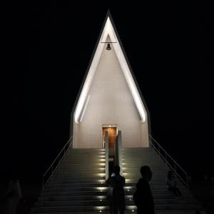 《沙漠之花》