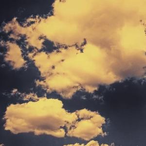 忘羡（翻自 林海）