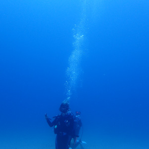 骑士（Cover 黄龄）