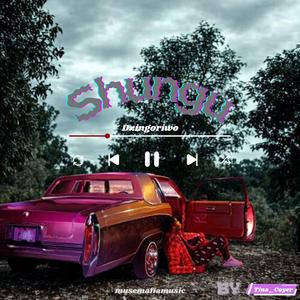 Dzingoriwo Shungu (feat. Tina Coyer)