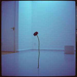 あなたが好きじゃない