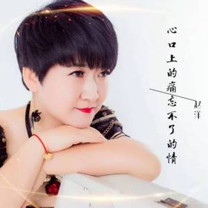 心口上的痛忘不了的情 (DJ默涵版)