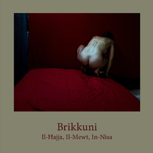 Il-Lupu Ma Jibdilx Il-Pil