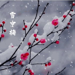 雪中梅