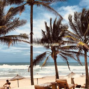 静止柔和的波萨诺伐舞曲