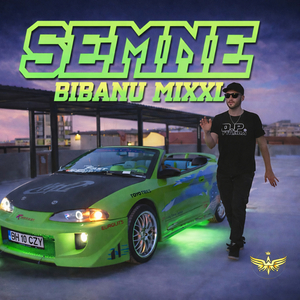 Semne