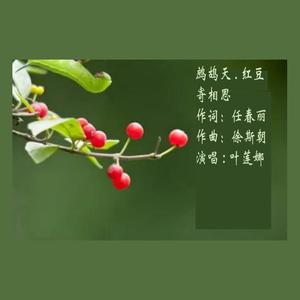 鹧鸪天红豆寄相思