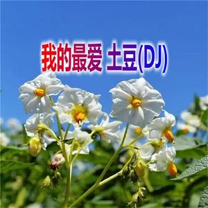 我的最爱 土豆（DJ)