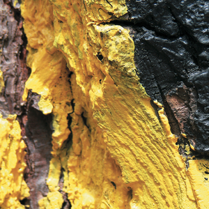 Inicii Skin (Pablo Bolivar Retouch)