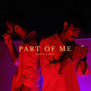 Dilnashi (feat. NKR)