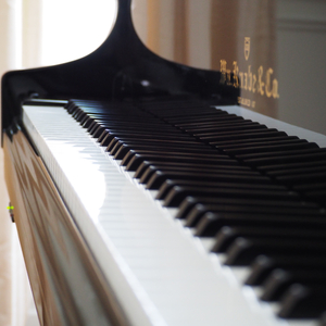 Schumann Kinderszenen, Op. 15 I. Von fremden Ländern und Menschen