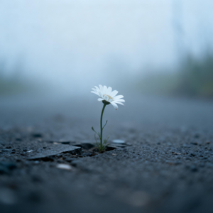 还没说完的遗憾