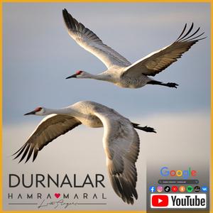 DURNALAR (Special Version)