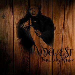 Farm City (feat. Idowest) (Amapiano Mix)