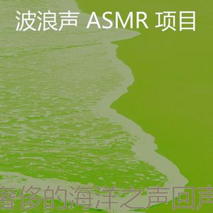 抚慰的海洋之声回忆