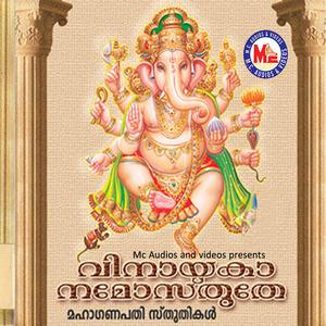 Pettannethu Vighnavum