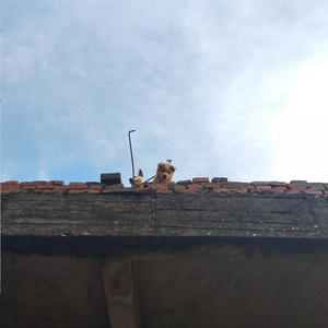 醉相思之煮茶论剑