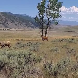 温暖相伴的治愈时光