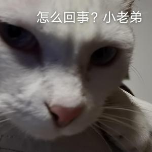 海盗船长（cover-风子）