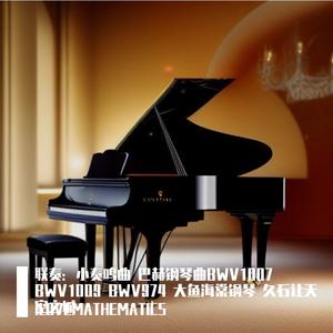 巴赫无伴奏，贝多芬小奏鸣曲，巴赫玛迦罗慢板乐章，天空之城，原神狭径缒幽，大鱼海棠钢琴版，送别钢琴版