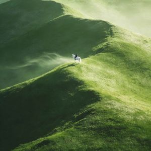 游子吟