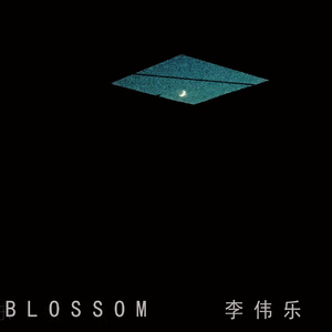 Water Lilies Blossom In The Fog 睡莲在雾中盛开