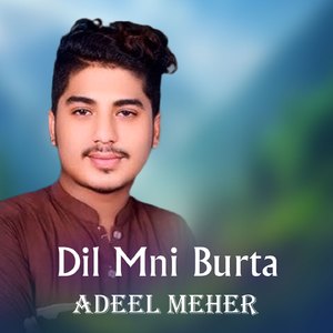 Dil Mni Burta