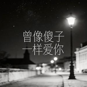 曾像傻子一样爱你