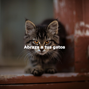 Sultry Chill Out Saturday