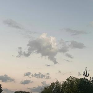 Friends (English Version)