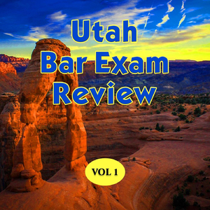 Affidavit / Transferred Intent Doctrine / Case File