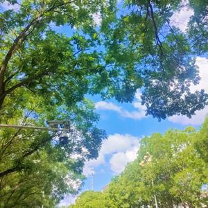 盛夏（Prod EVOMUSIC）