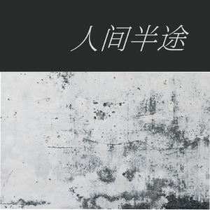 人间半途(烟嗓女版)