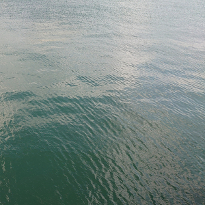 忘れてしまえたら