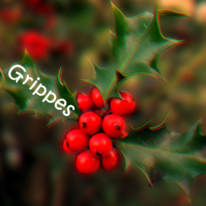 Champions Of Endings