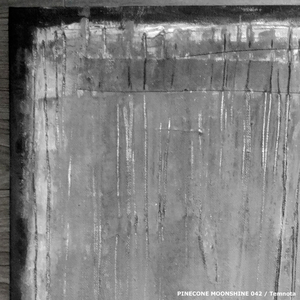 Adaptations (Original Mix)