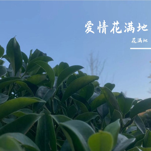 同桌的你