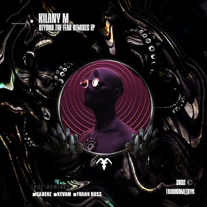 Beyond the Fear (Kevam Remix)