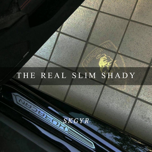 Eminem-The Real Slim Shady（SKGYR remix）