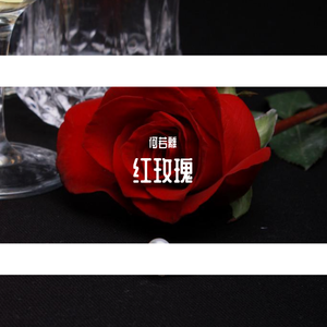 红玫瑰