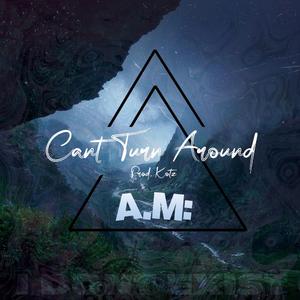 Can't Turn Around (feat. A.M:)