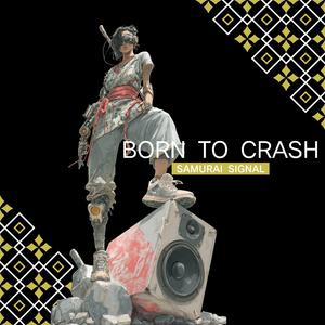 BORN TO CRASH