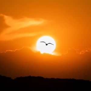 Icarus 伴奏