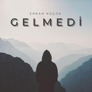 GELMEDİ