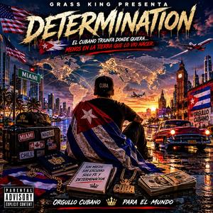 DETERMINATION