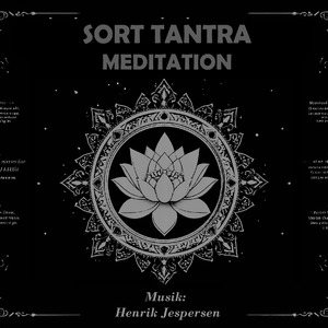 SORT TANTRA MEDITATION (Instrumental Version)